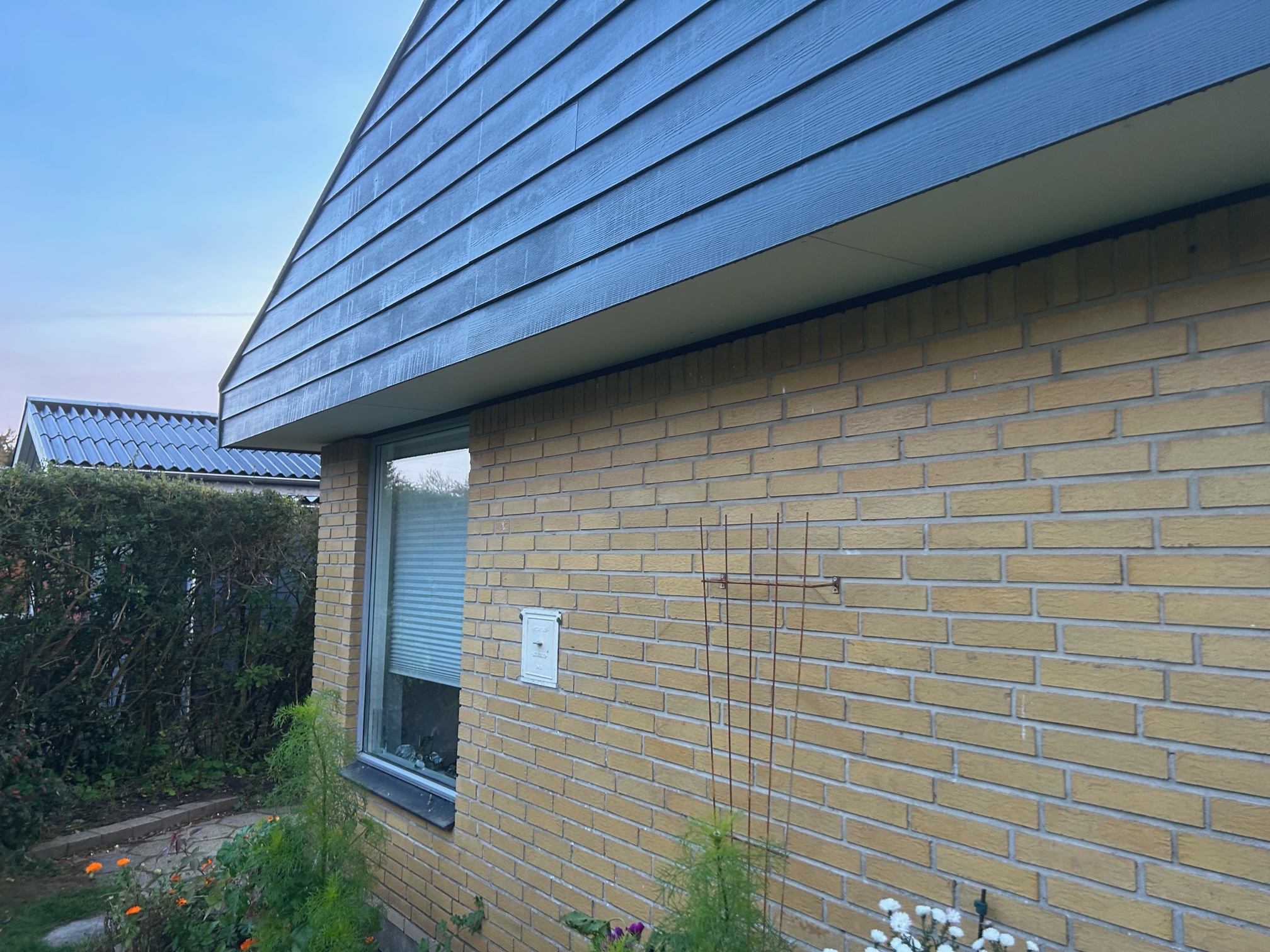image0 (2)