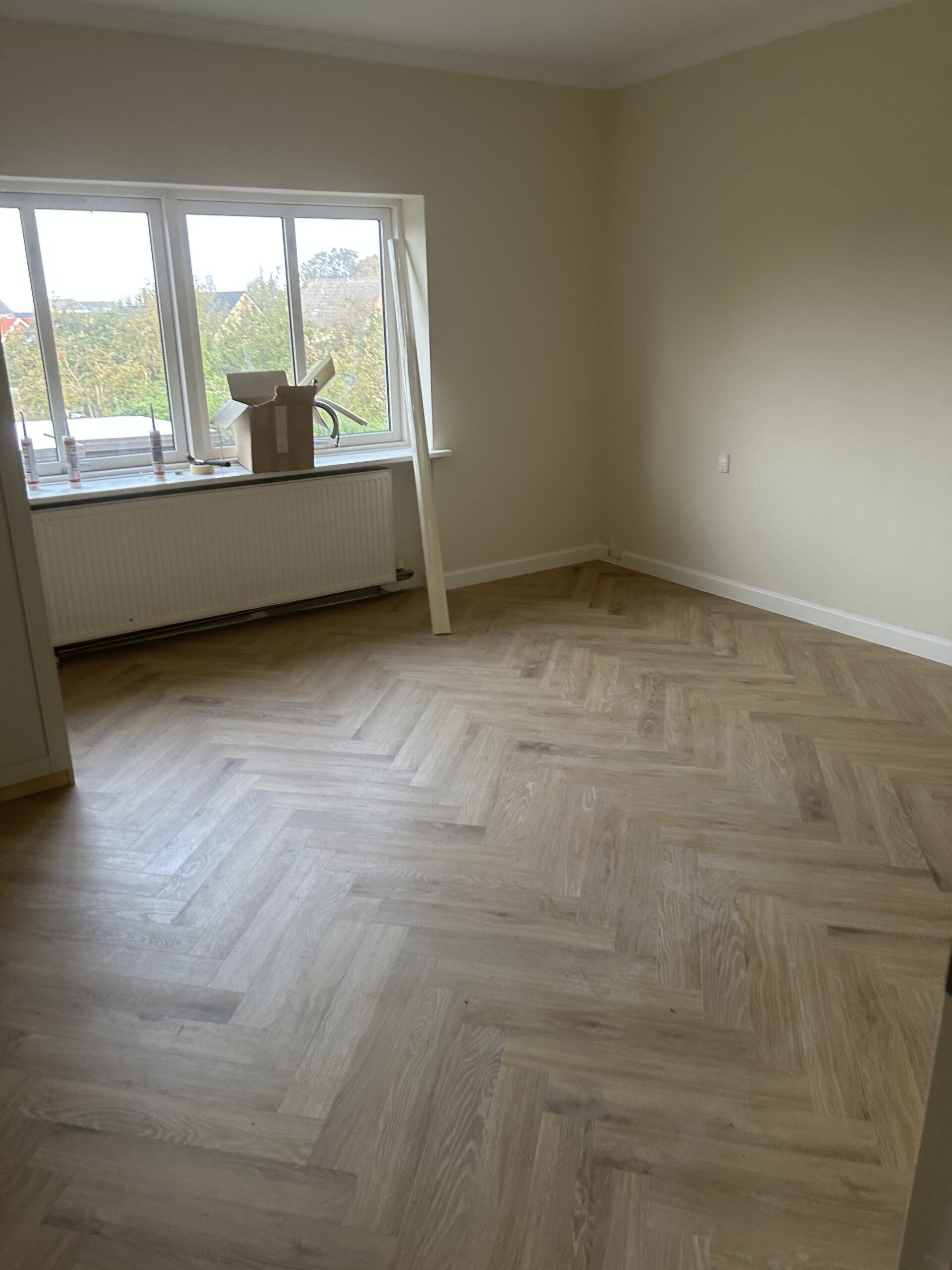 image3 (1)